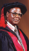Cover image for Anikwe, Raymond Maduchem (1935 - 2008)
